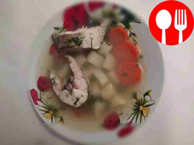 Rich pike perch soup