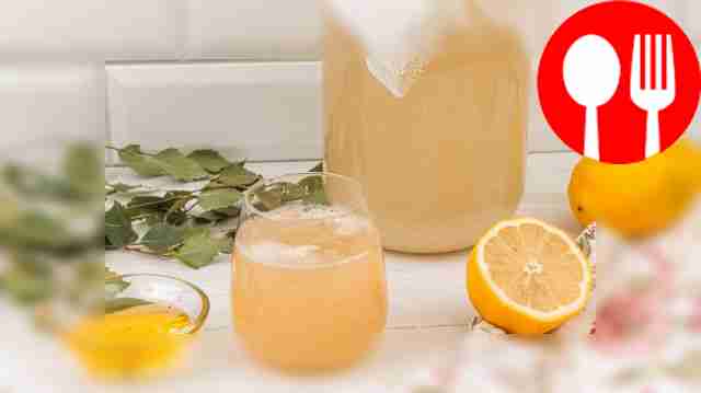 Kvass from birch sap