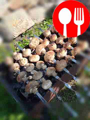 Шампиньоны на шампурах Champignons on skewers