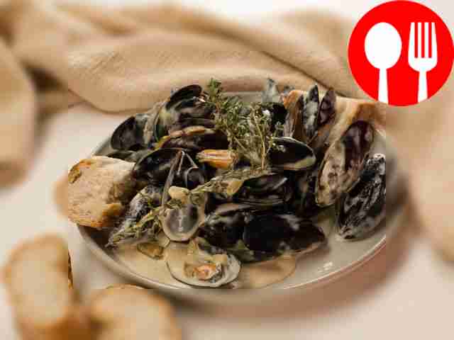 Mussels in creamy sauce