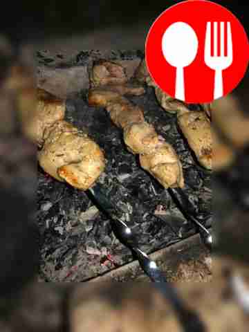 Pork shashlik on coals