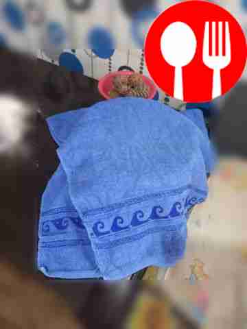 Place the dough in a cup and cover with a...