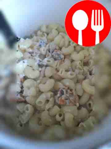 Pasta in creamy sauce with mussels