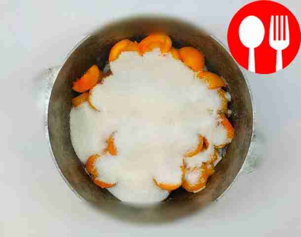 Place the apricot halves in the container in...