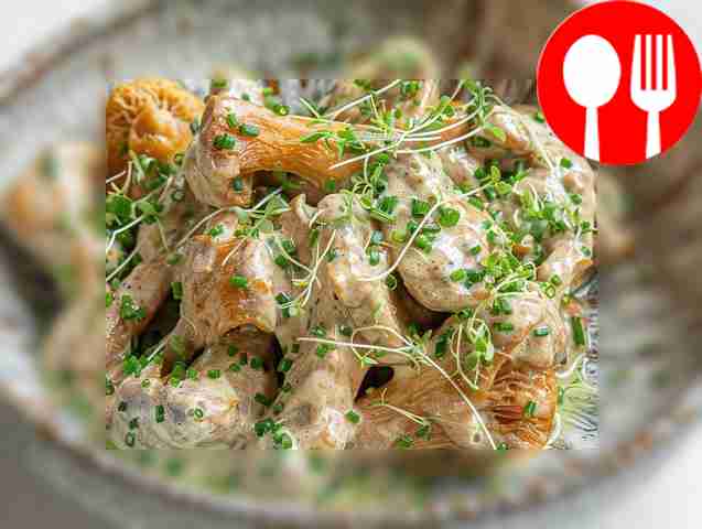 Chanterelles in sour cream sauce